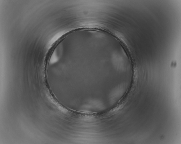 X0000112021071200908241509