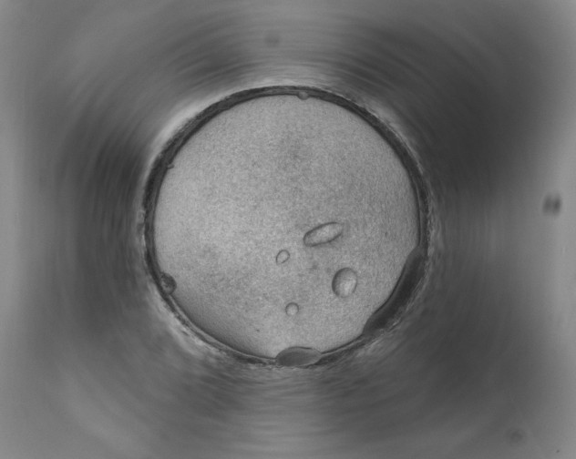 X0000112021072200908241509