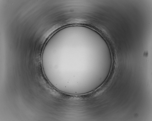 X0000112021073200908241509