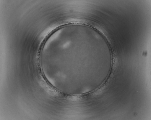 X0000112021074200908241509