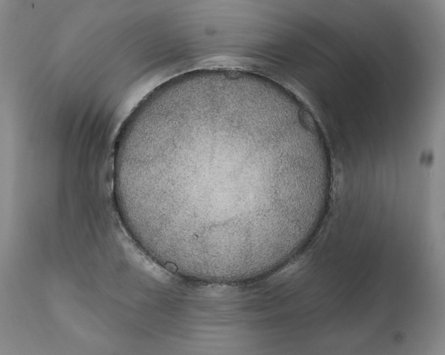 X0000112021075200908241509