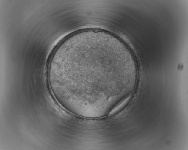 X0000112021076200908241509