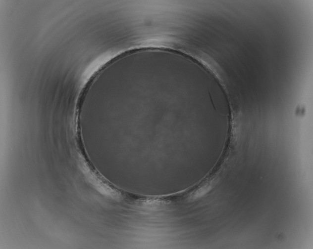 X0000112021077200908241509