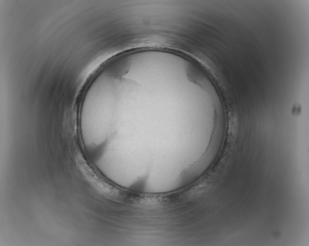 X0000112021078200908241509