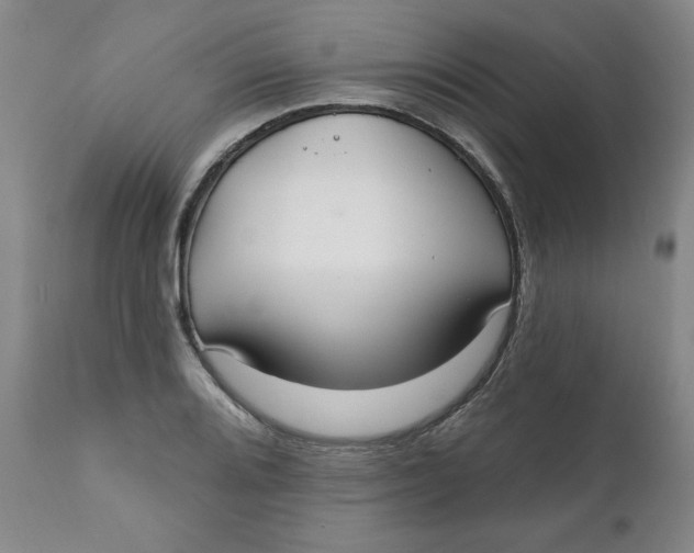 X0000112021080200908241509