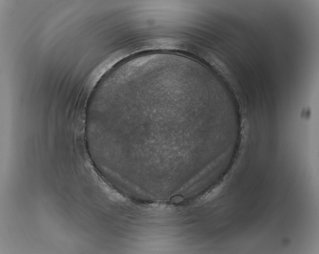 X0000112021081200908241509