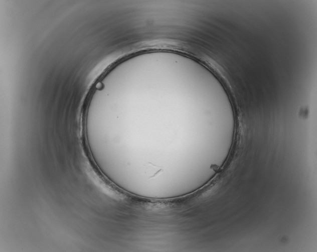 X0000112021082200908241509