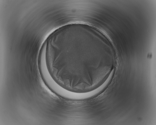 X0000112021084200908241509