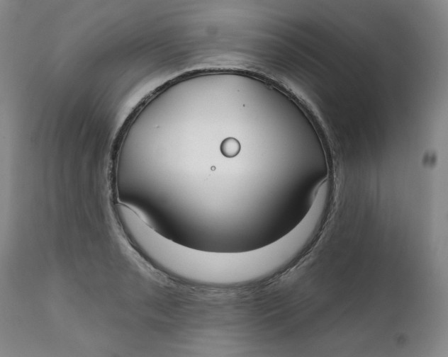 X0000112021085200908241509