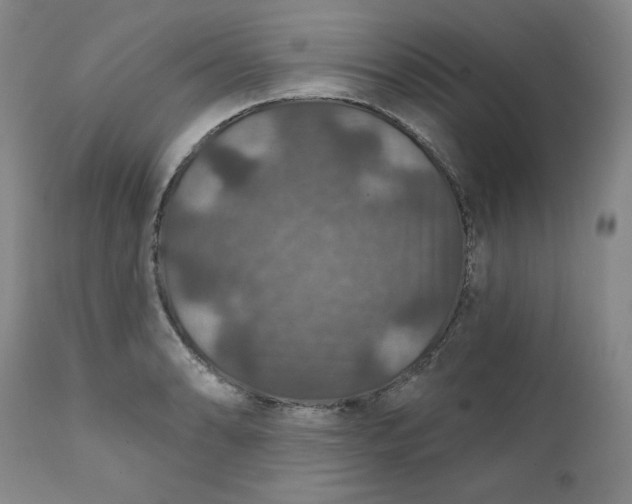 X0000112021086200908241509