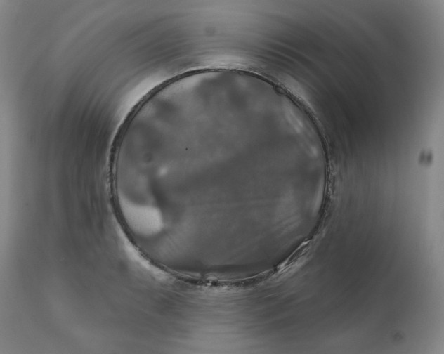 X0000112021087200908241509