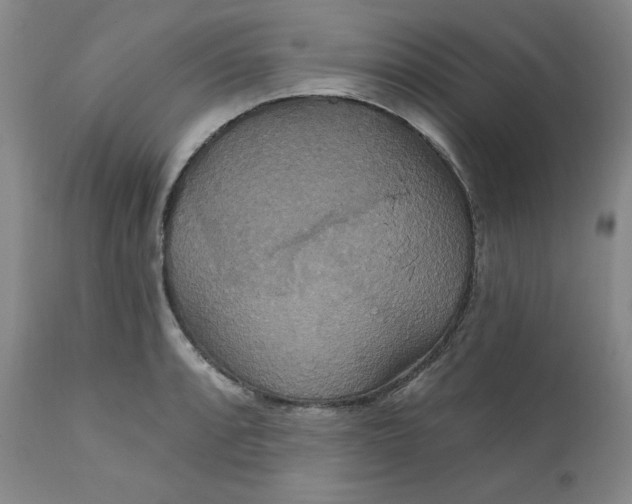 X0000112021088200908241509