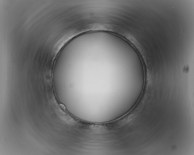 X0000112021089200908241509