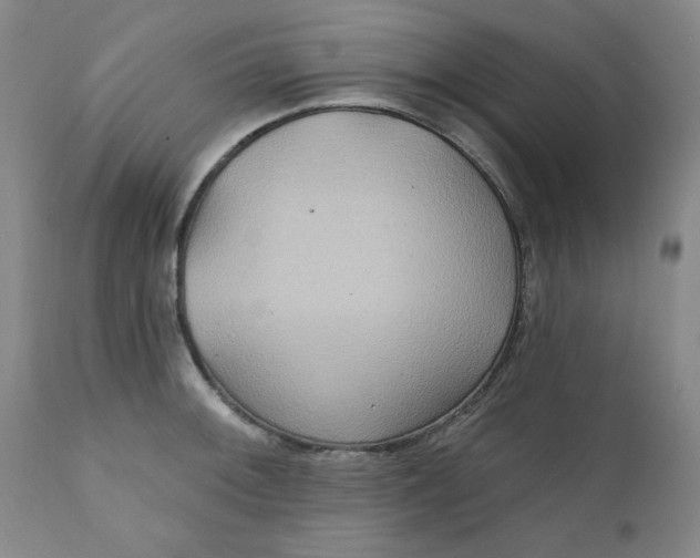 X0000112021092200908241509