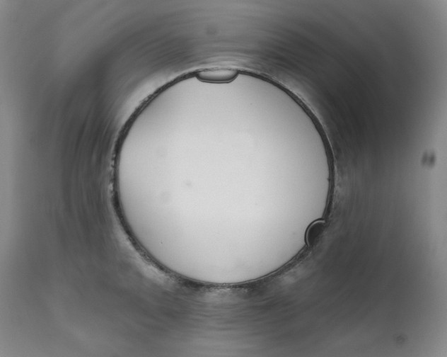 X0000112021093200908241509