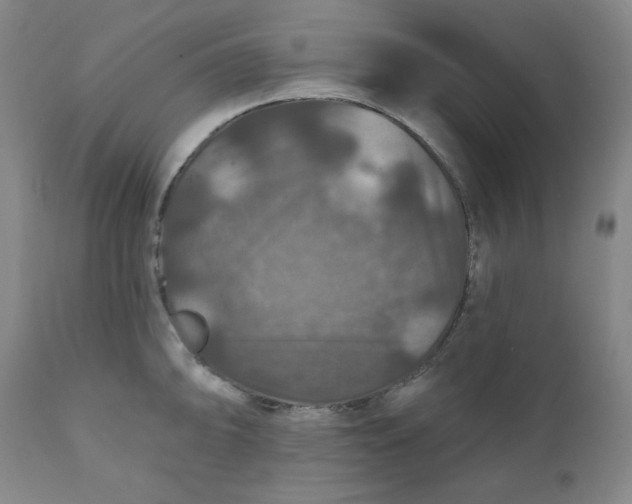 X0000112021094200908241509