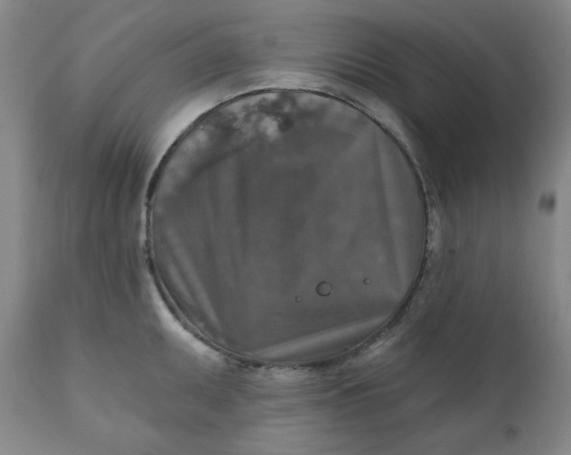 X0000112021095200908241509