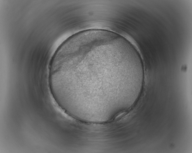 X0000112021096200908241509