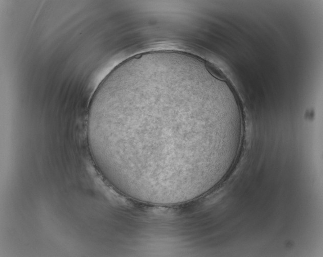 X0000112021097200908241509