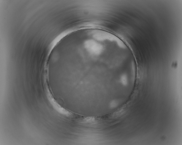 X0000112021098200908241509