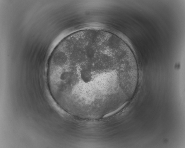 X0000112021099200908241509