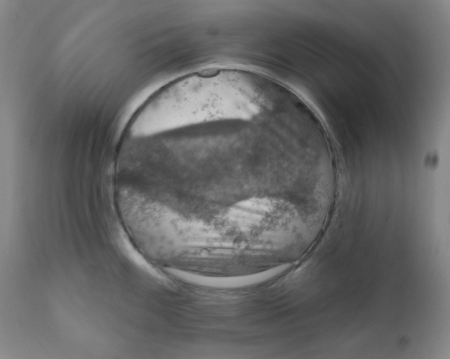 X0000112021100200908241509