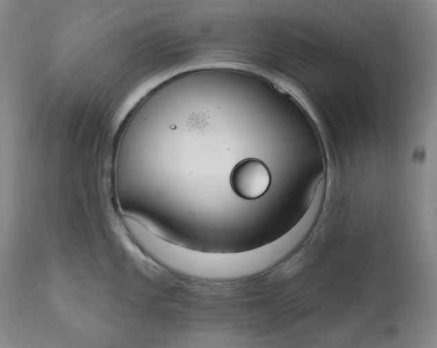 X0000112021101200908241509