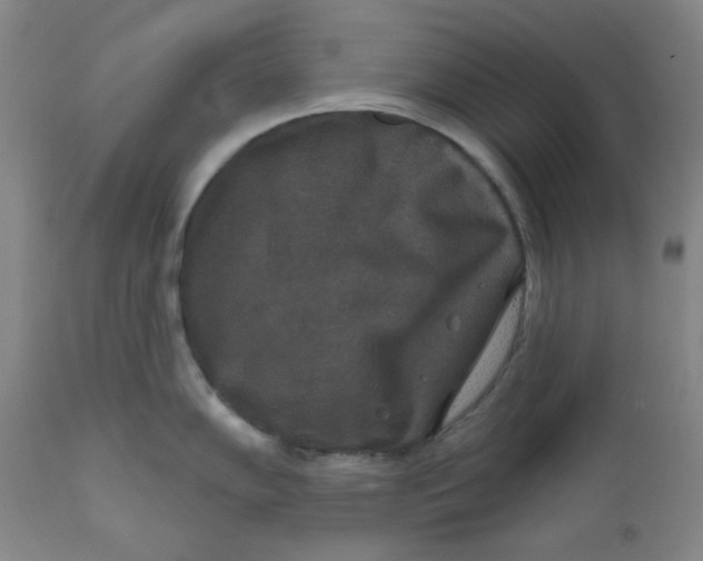 X0000112021102200908241509