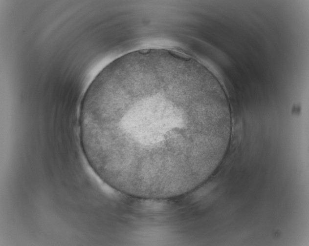 X0000112021103200908241509