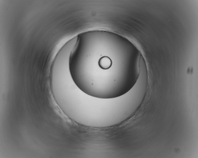 X0000112021104200908241508