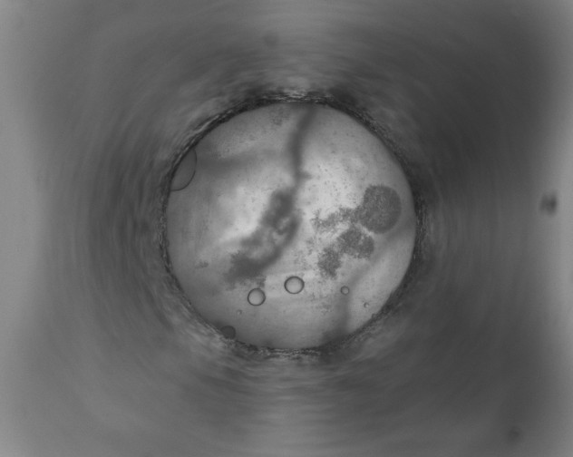 X0000112021105200908241508