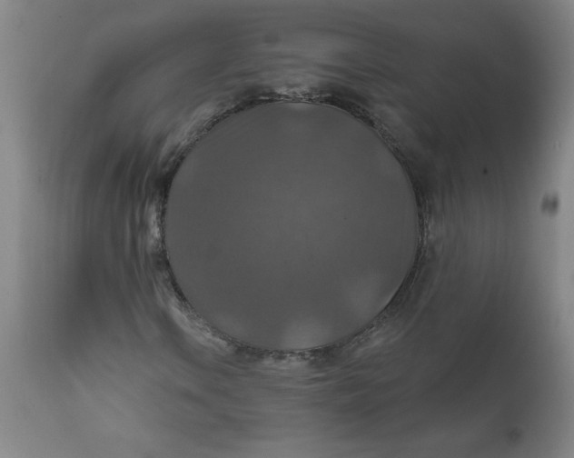 X0000112021106200908241508