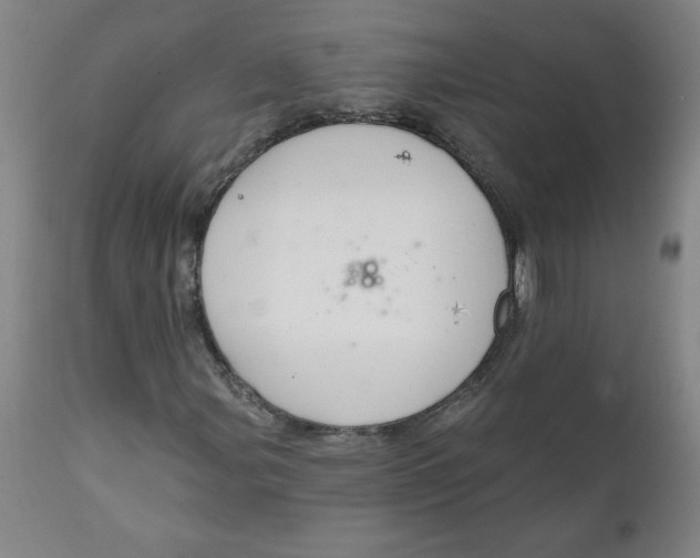 X0000112021107200908241508