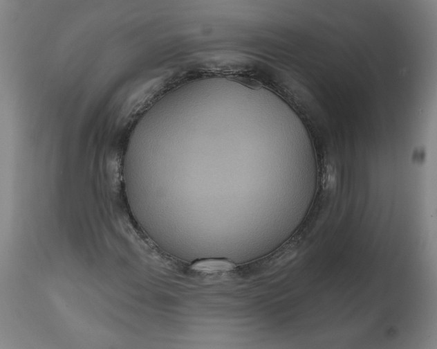 X0000112021108200908241508