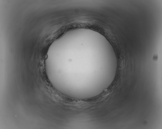 X0000112021109200908241508