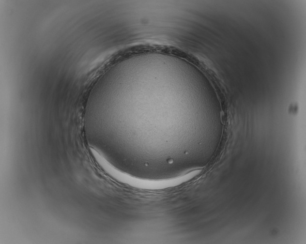 X0000112021110200908241508