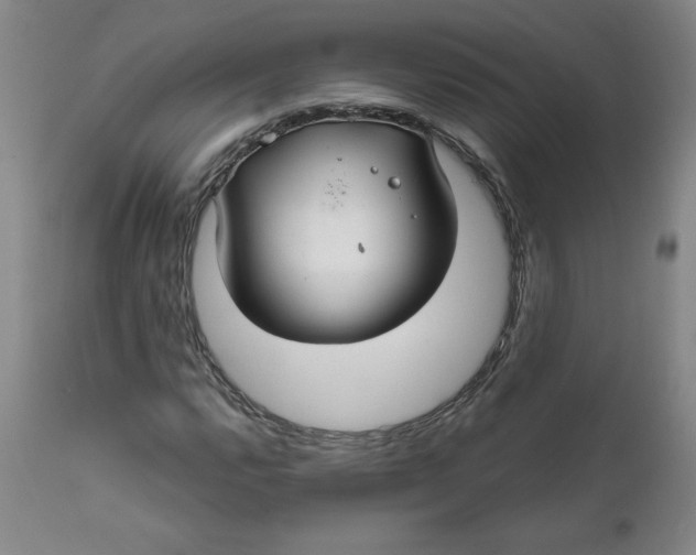 X0000112021112200908241508