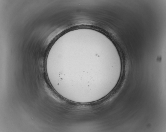 X0000112021113200908241508