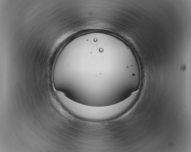 X0000112021114200908241508