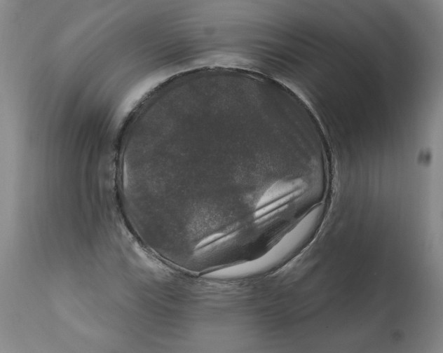 X0000112021115200908241508