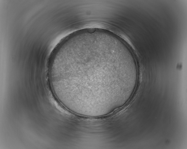 X0000112021116200908241508