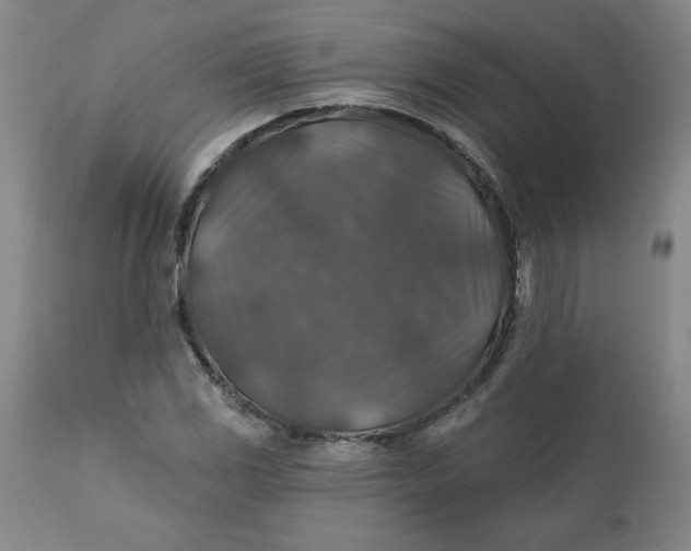 X0000112021117200908241508