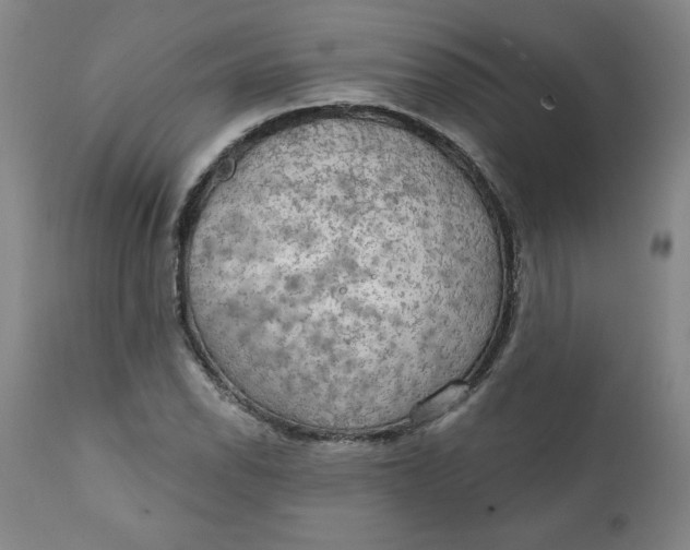 X0000112021118200908241508