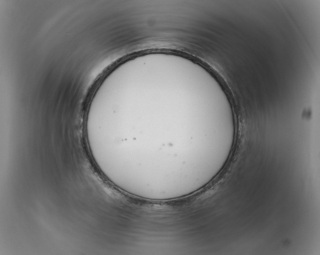 X0000112021119200908241508