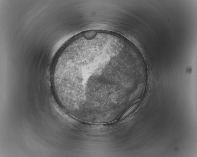 X0000112021120200908241508