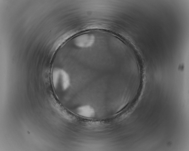 X0000112021121200908241508