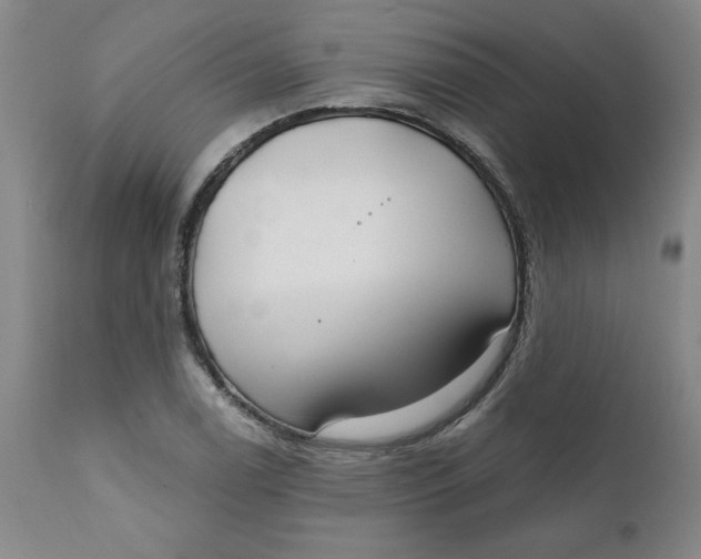 X0000112021122200908241508