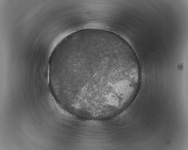 X0000112021123200908241508