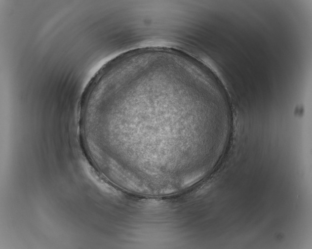 X0000112021124200908241508