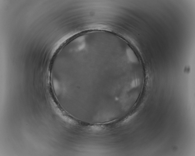 X0000112021125200908241508